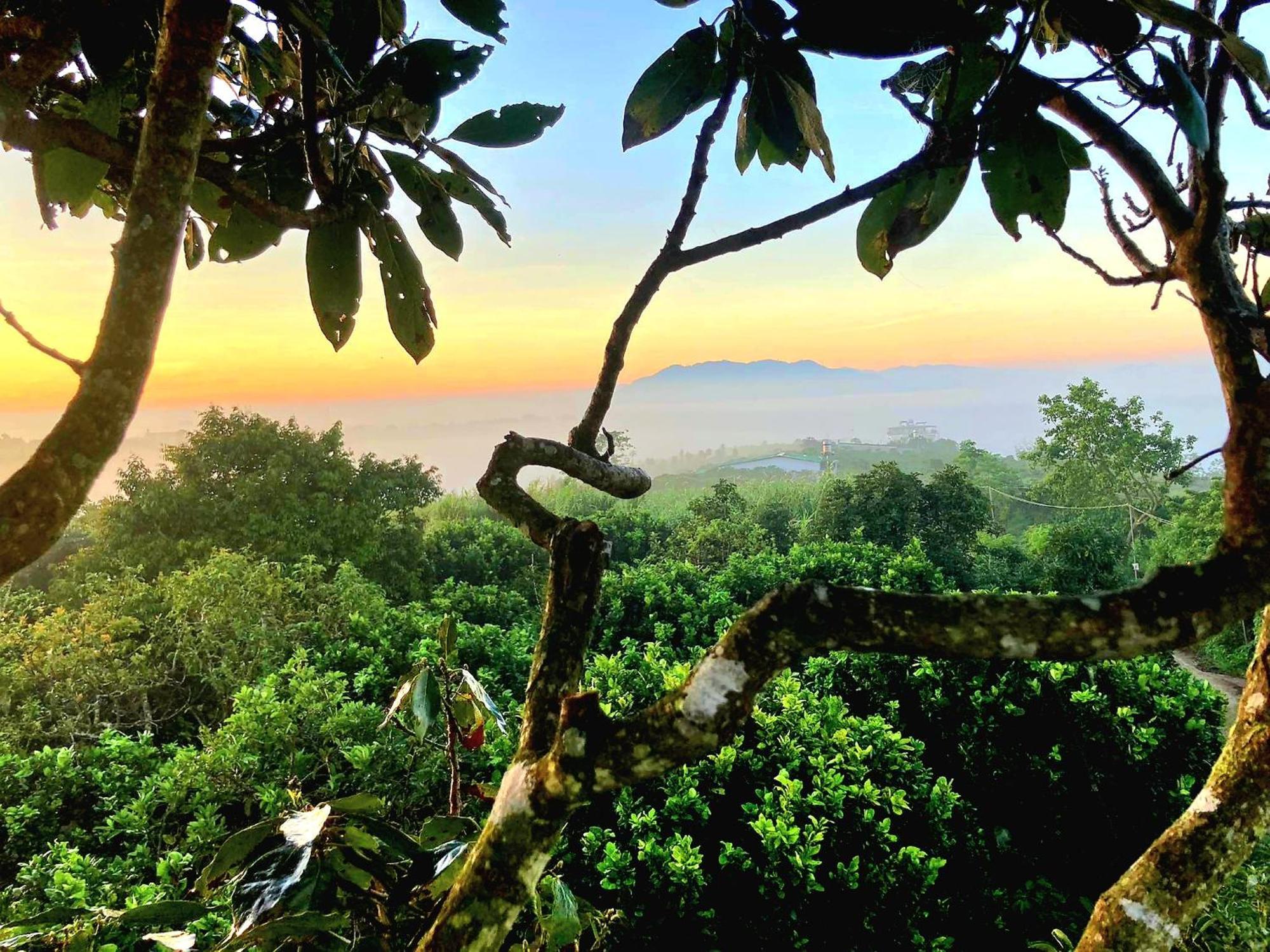 Homestay Vuon Trai Cay Nhiet Doi Vo Uu Garden Баолок Экстерьер фото