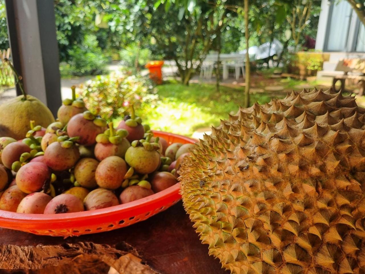 Homestay Vuon Trai Cay Nhiet Doi Vo Uu Garden Баолок Экстерьер фото