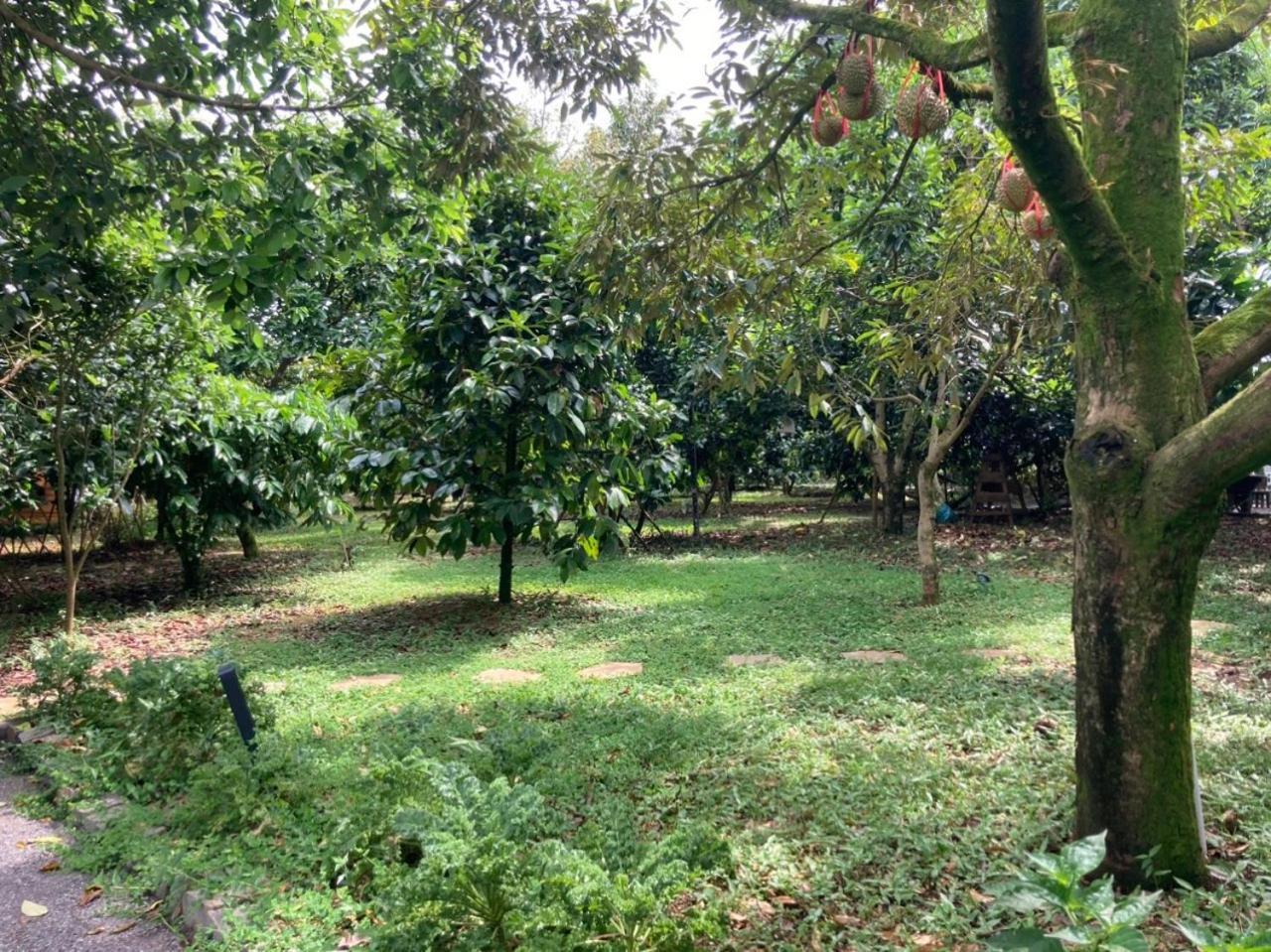 Homestay Vuon Trai Cay Nhiet Doi Vo Uu Garden Баолок Экстерьер фото
