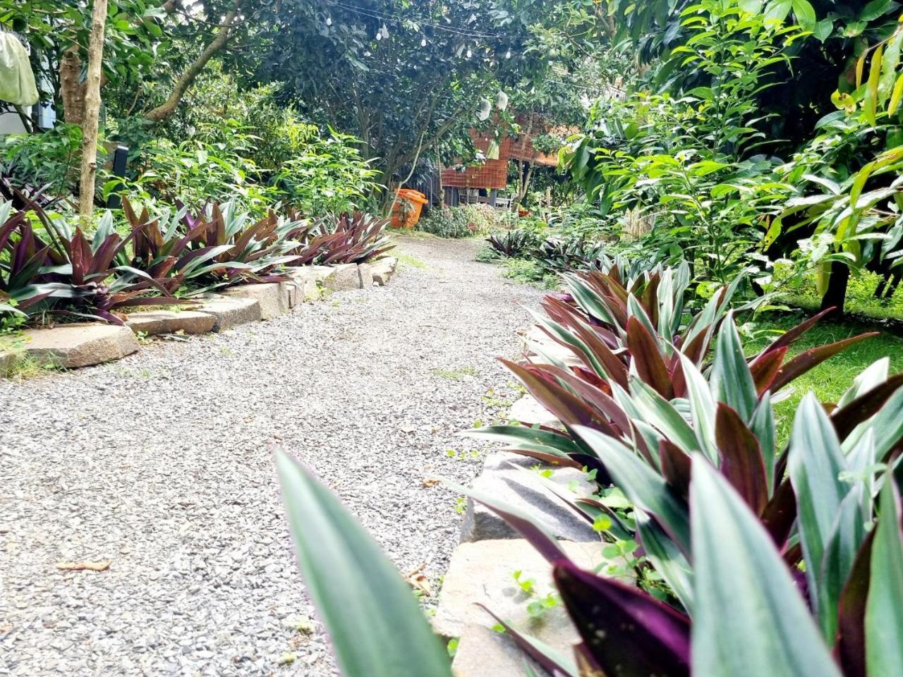 Homestay Vuon Trai Cay Nhiet Doi Vo Uu Garden Баолок Экстерьер фото