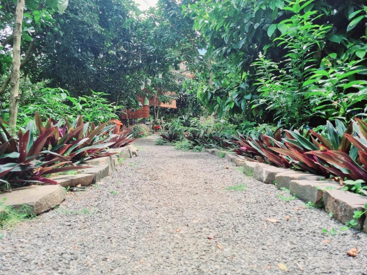 Homestay Vuon Trai Cay Nhiet Doi Vo Uu Garden Баолок Экстерьер фото